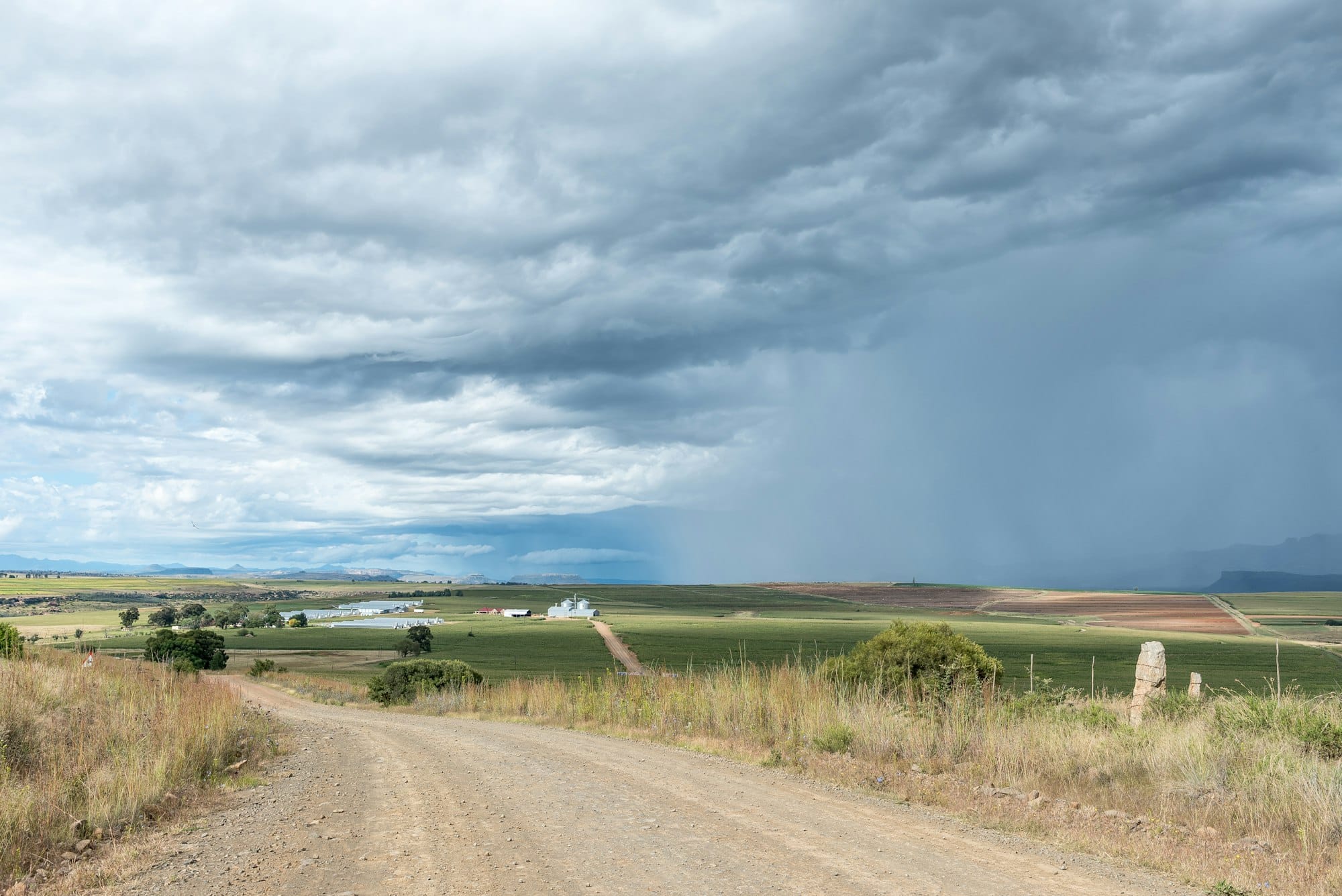 AI revolutionizes farming practices in Manitoba