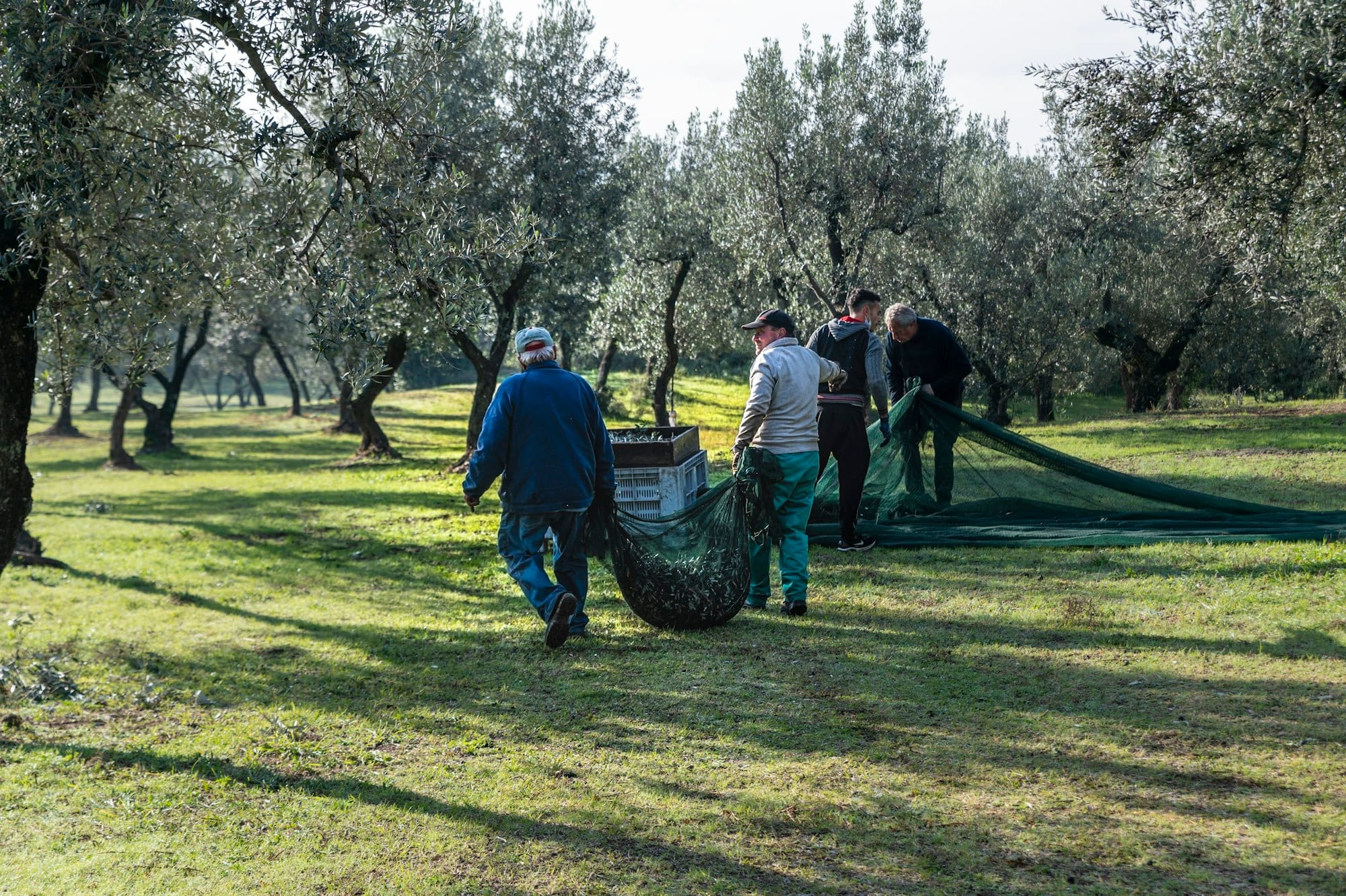 The Significance of Unity and Teamwork in Research on Organic Farming.