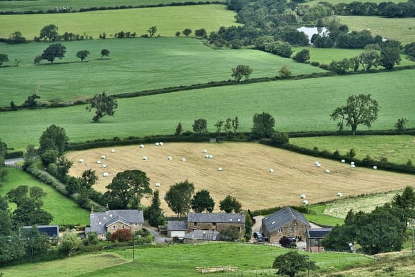 Government Invests in Organic Agriculture Organizations