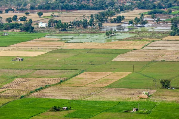 Exploring the Pioneering Agricultural Methods of Bangladesh
