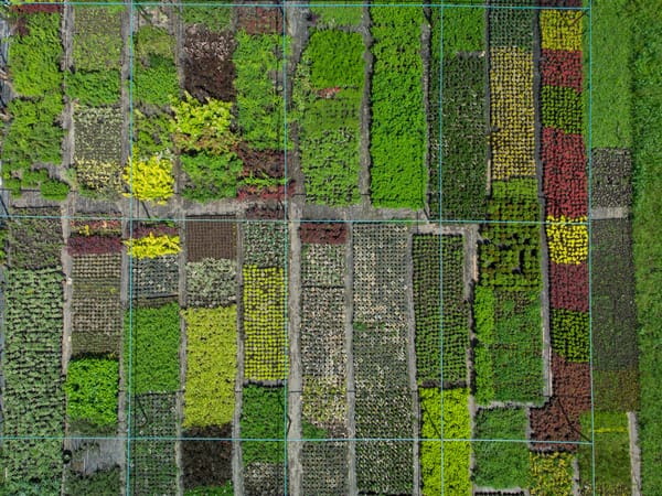 OFRF and 90 Collaborators Urge Increased Funding for Organic Research in the Farm Bill.
