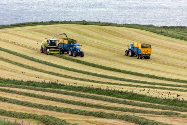 Farming sector defies Northern Ireland's greenhouse gas emission patterns