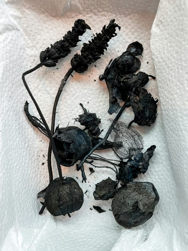 Harnessing Biochar's Potential: Promoting Sustainable Agriculture and Mitigating Climate Change in Oman