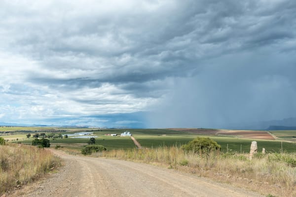 AI revolutionizes farming practices in Manitoba