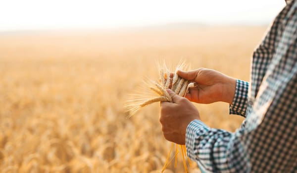 Annual Farm Research Showcase to be Held on June 27th