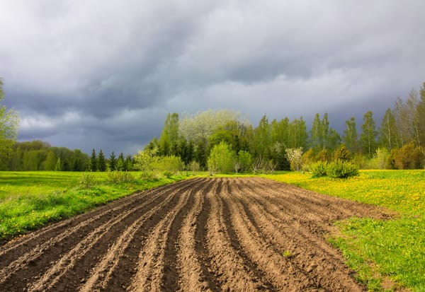 Sufficient EU Funding Essential to Address Agricultural Crisis - Krauze