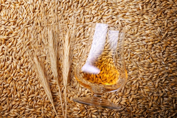 Worldwide Market Forecast for Organic Dried Distiller's Grain Feed to 2024: Insights and Perspectives