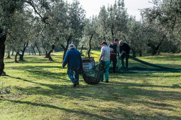The Significance of Unity and Teamwork in Research on Organic Farming.