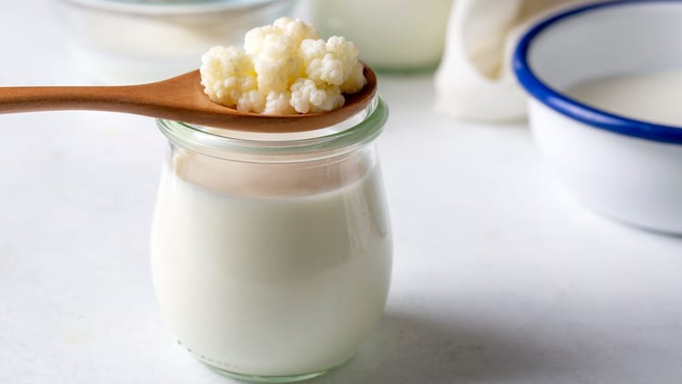 Unlocking the Health Secrets: Top 10 Benefits of Kefir You Need to Know