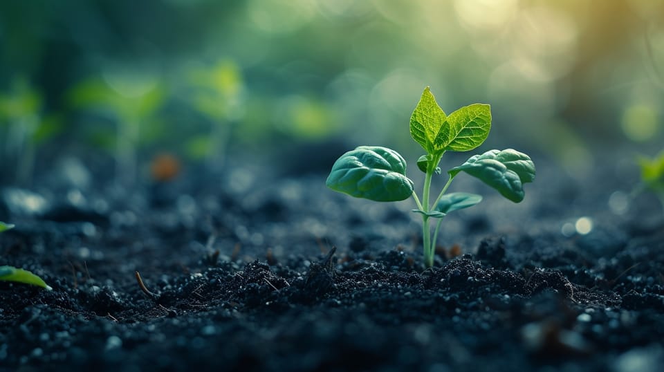 Exploring the Growth of the Global Organic Food Market