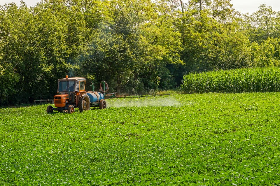EU's Proposal to Cut Synthetic Pesticide Use by 50 Percent: Environmental Aspirations Meet Food Security Concerns